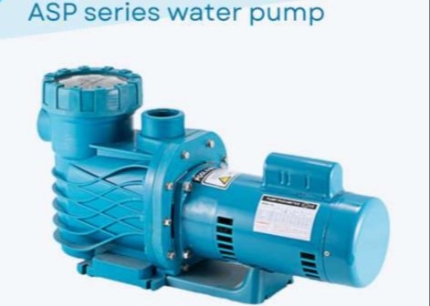 ASP100 Pompe d'acqua per piscine