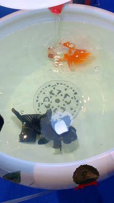 Ciotola ceramica cinese del pesce del modello 520mm della peonia con la lampada