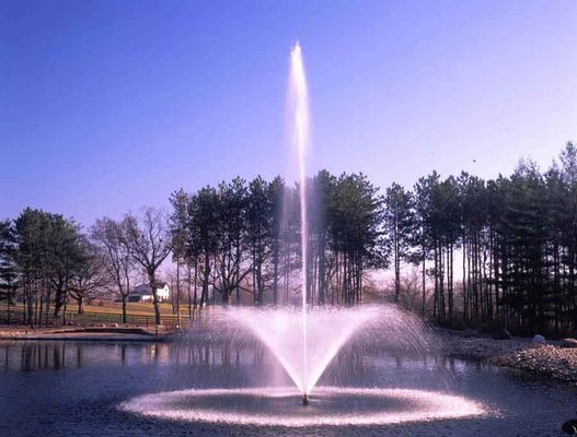 Fontana dell'acciaio inossidabile del giardino 800mm di progettazione grafica