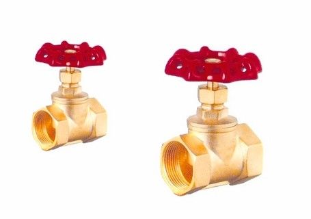 Valvola a saracinesca d'ottone a 1 pollici degli accessori della fontana della piscina dello SGS