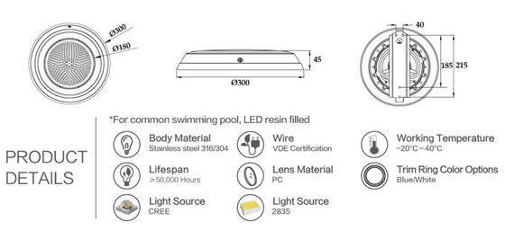 12W 304 luci subacquee impermeabili dell'acciaio inossidabile LED