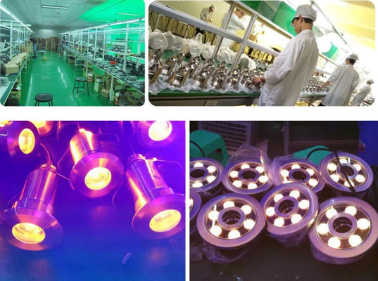 IP68 24V 50W impermeabilizzano le luci subacquee del LED