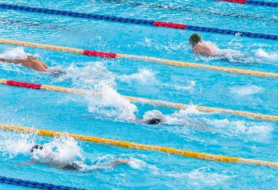 divisori del vicolo della piscina di 25m