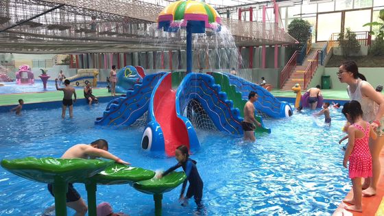 Acquascivolo della vetroresina dell'attrezzatura 8000x8000mm del parco dell'acqua dei bambini