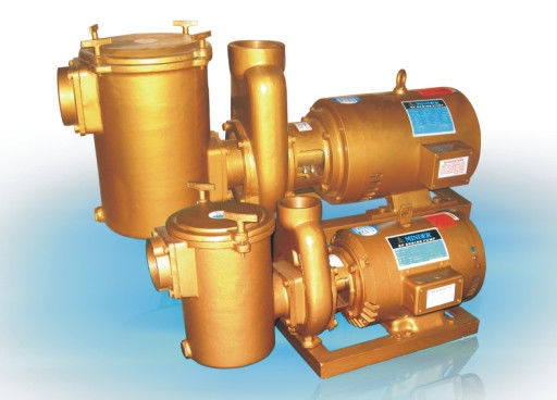 Pompe idrauliche d'ottone della piscina 3HP
