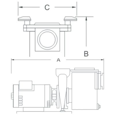 Pompe idrauliche d'ottone della piscina 3HP