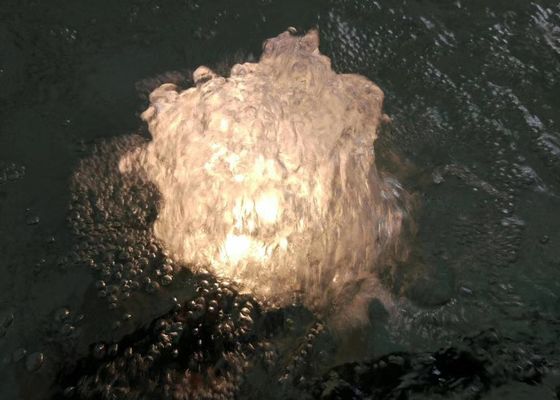 Una fontana ballante a 1 pollici Jet Nozzle With Lamp di 80 L/M