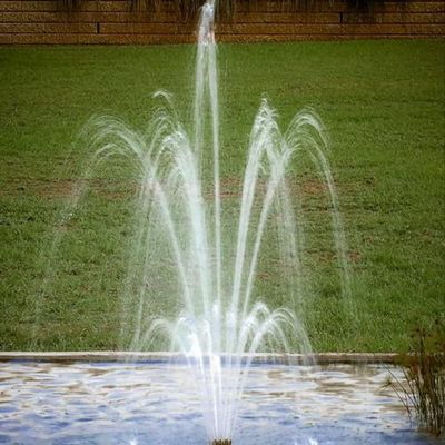 La nuova vendita calda 2" 3 strati regolabili d'ottone fiorisce la fontana Jet Nozzles del fiore