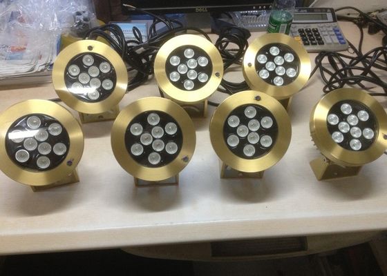 Gli accessori d'ottone 9W della fontana dello stagno hanno condotto le luci subacquee