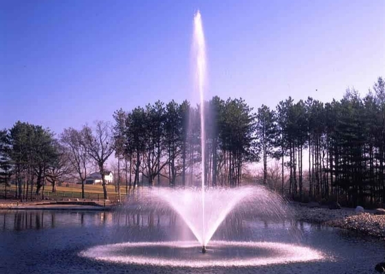 Fontana di galleggiamento dell'acqua di acciaio inossidabile con la lampada e la pompa