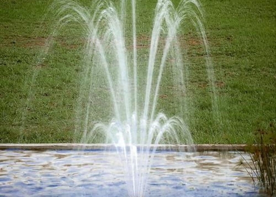 Strati regolabili degli accessori della fontana dello stagno DN50 i 3 fioriscono il getto dell'ugello della fontana